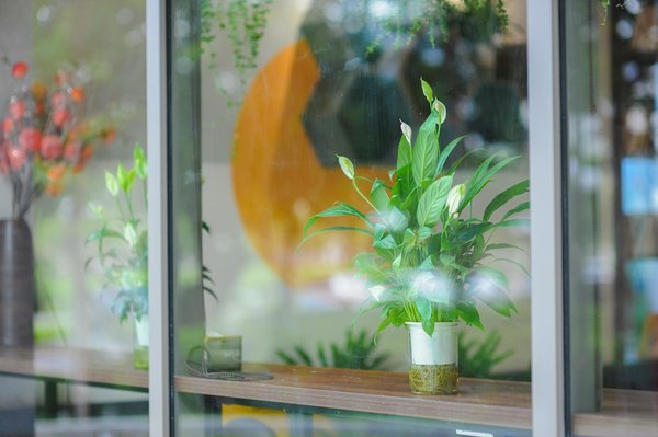 Révélez votre confiance en soi en seulement 20 étapes